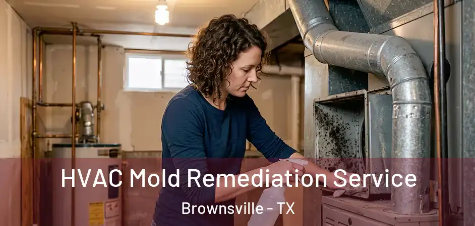  HVAC Mold Remediation Service Brownsville - TX