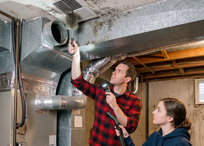 Premier HVAC Mold Remediation Company in Brownsville